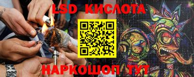 крисы Волгодонск