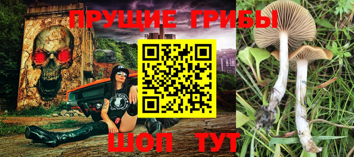 Псилоцибиновые грибы ЛСД Курчатов